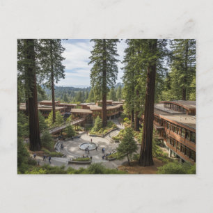 Carte Postale Université de Californie à Santa Cruz