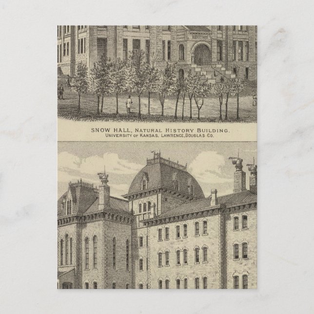 Carte Postale Université du Kansas (Devant)