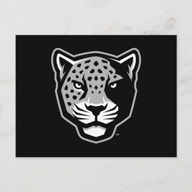Carte Postale Université Texas A&M de San Antonio | Jaguars (Devant)