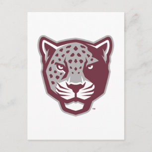 Carte Postale Université Texas A&M de San Antonio   Jaguars