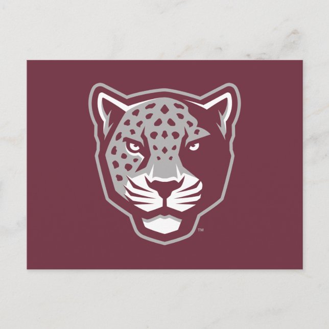 Carte Postale Université Texas A&M de San Antonio | Jaguars (Devant)