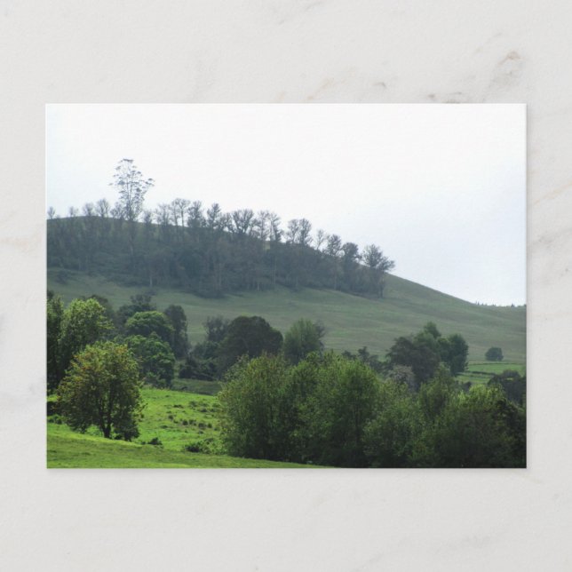 Carte postale Upcountry (Devant)