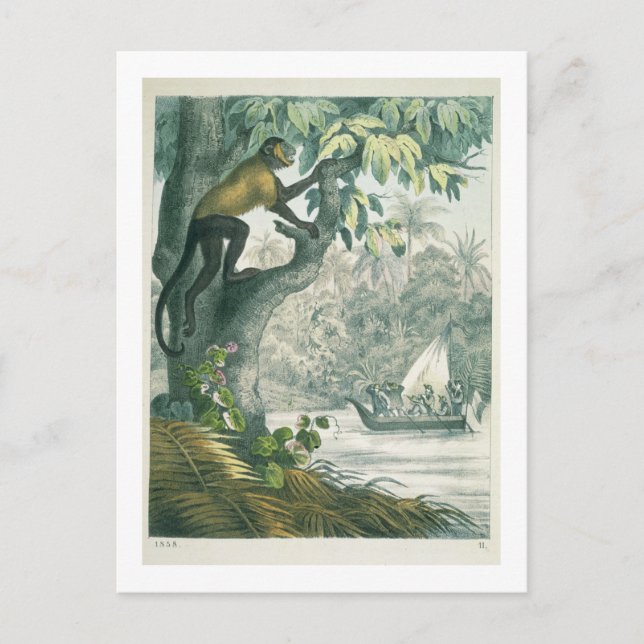 Carte Postale Upper reaches of the Amazon, from 'Le Livre des We (Devant)
