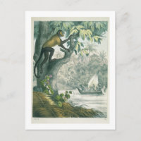 Upper reaches of the Amazon, from 'Le Livre des We