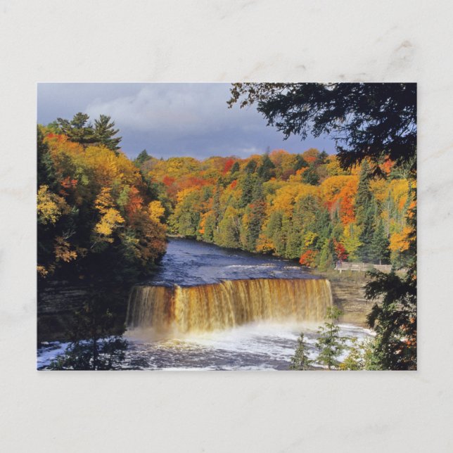 Carte Postale Upper Tahquamenon tombe dans l'UP du Michigan en a (Devant)
