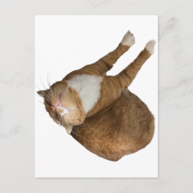 Carte Postale Upside-Down Sunshine (Devant)