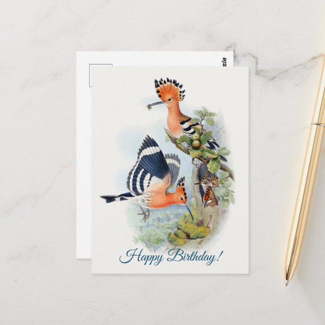 Carte Postale Upupa Epops (Devant/Arrière en situation)