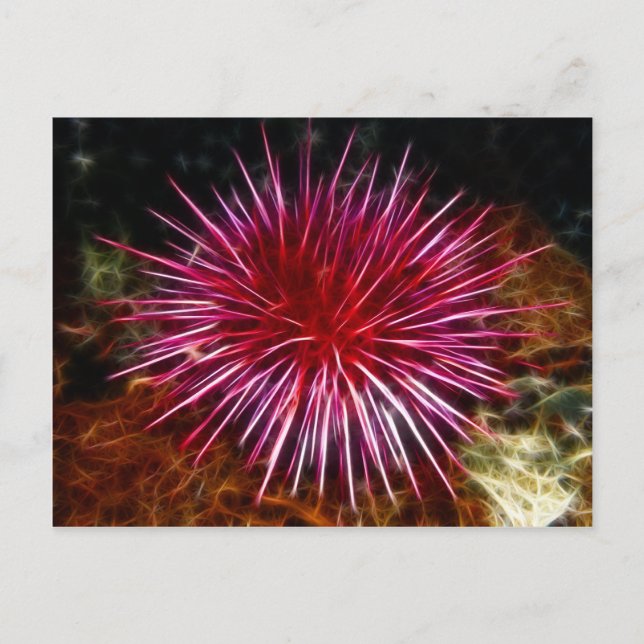 Carte Postale Urchine de mer violette (Devant)