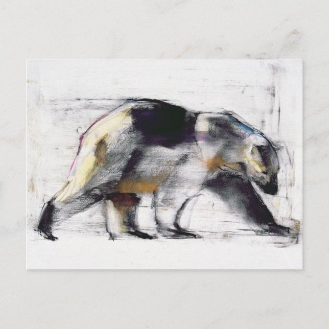 Carte Postale Ursus Maritimus 1999 (Devant)