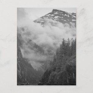 Carte Postale USA, Alaska, Juneau, Rainforest covers fjords in