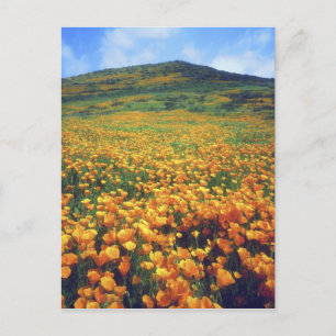 Carte Postale USA, Californie, lac Elsinore. Californie