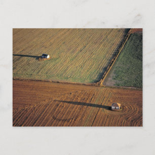 Carte Postale USA, Dakota du Nord, Washburn. Luminosité tardive