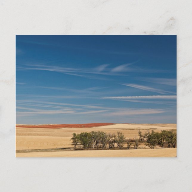 Carte Postale USA, Dakota du Sud, Murdo, Paysage des Prairies (Devant)