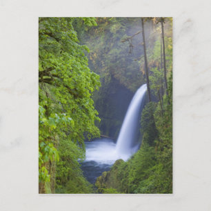 Carte Postale USA, Eagle Creek, Columbia Gorge, Oregon.