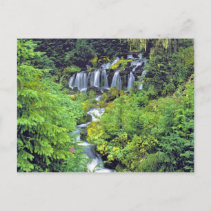 Carte Postale USA, Etat de Washington, Mt Adams Wilderness. Twin