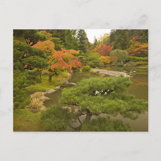 Carte Postale USA, Etat de Washington, Seattle. Internationale > (Devant)