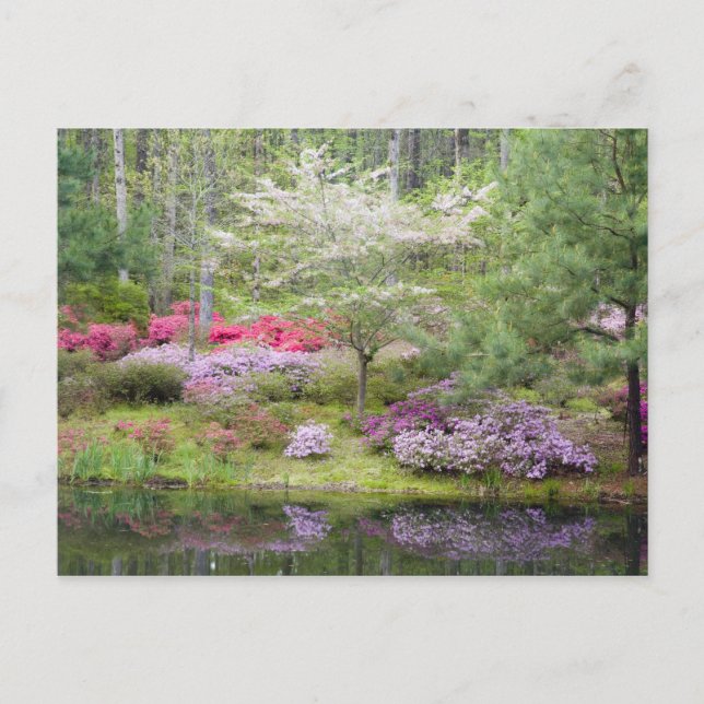 Carte Postale USA, Géorgie, Pine Mountain. Un mélange de (Devant)