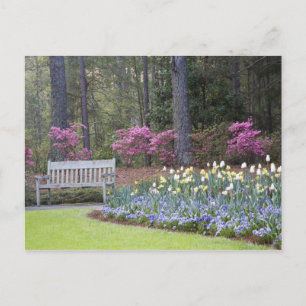 Carte Postale USA, Géorgie, Pine Mountain. Une bordure de