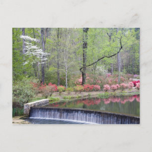 Carte Postale USA, Géorgie, Pine Mountain. Une petite cascade