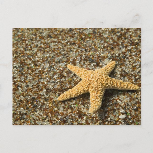 Carte Postale USA, HI, Kauai, Plage de verre avec poisson étoile (Devant)