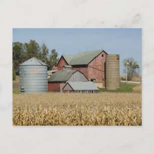 Carte Postale USA, IOWA, Froelich : Vieux élevage