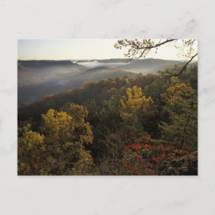 Carte Postale USA, Kentucky. Forêt nationale Daniel Boone.