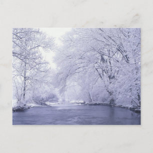 Carte Postale USA, Kentucky, Louisville. Neige
