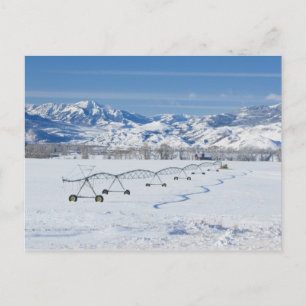 Carte Postale USA, MT, Ferme près de Livingston