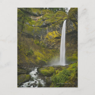 Carte Postale USA, Oregon, comté de Multnomah, Elowah Falls