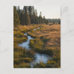 Carte Postale USA, Oregon, Paulina Creek