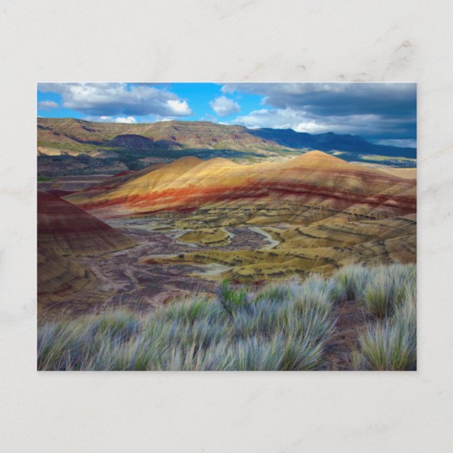 Carte Postale USA, Oregon. Paysage Des Collines Peintes (Devant)