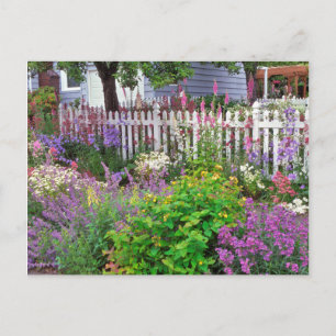 Carte Postale USA, Oregon, Portland. Explosion de Springtime