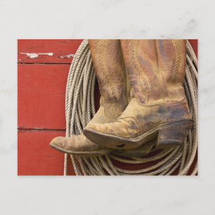 Carte Postale USA, Oregon, Seneca, Ponderosa Ranch. De près