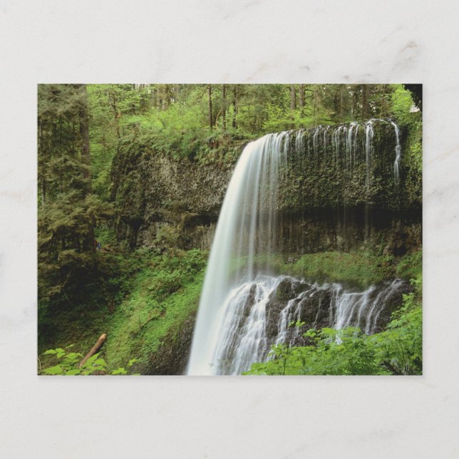 Carte Postale USA, Oregon, Silver Falls State Park. Bas (Devant)