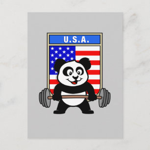 Carte Postale USA Panda haltérophilie