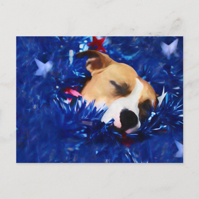 Carte Postale USA Patriotique Chien American Pit Bull Terrier (Devant)