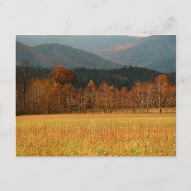 Carte Postale USA, Tennessee. Cades Cove Dans Smoky Mountain (Devant)