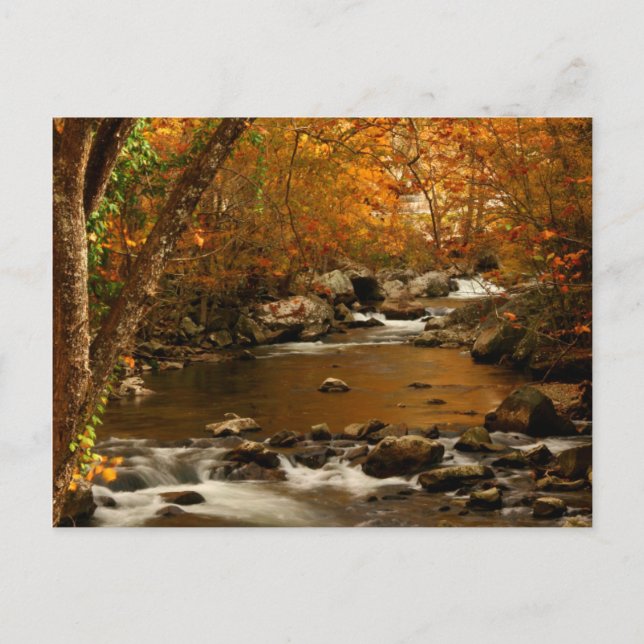 Carte Postale USA, Tennessee. Ruisseau Mountain 3 (Devant)