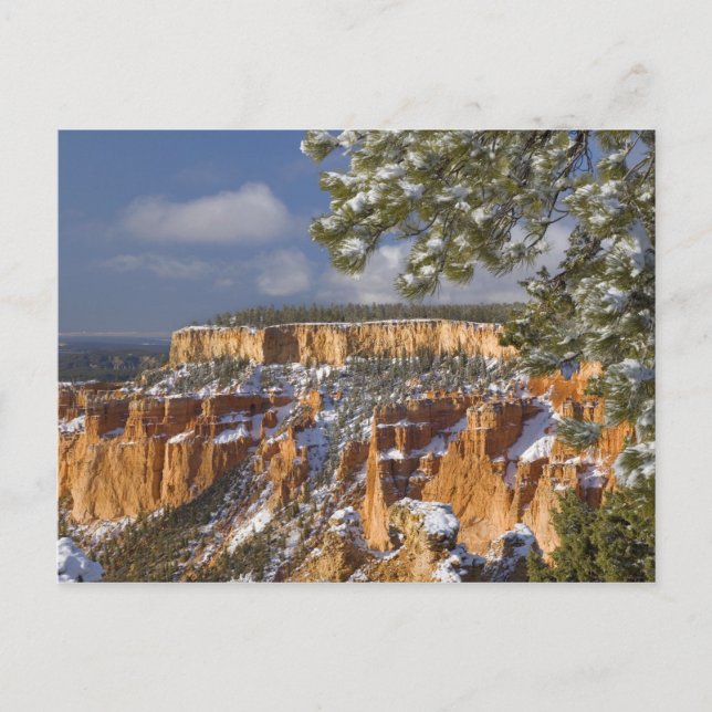 Carte Postale USA, Utah, Bryce Canyon National Park. Soleil (Devant)