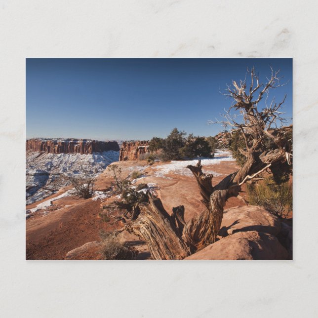 Carte Postale USA, Utah, Moab. Parc national des Canyonlands (Devant)