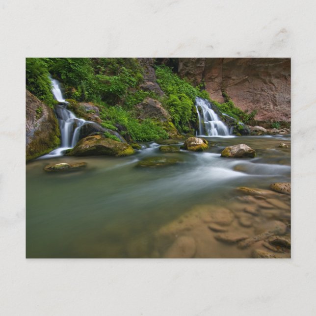 Carte Postale USA, Utah, Zion National Park. La Vierge (Devant)