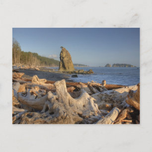 Carte Postale USA, Washington, Parc National Olympique, Rialto