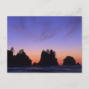 Carte Postale USA, Washington, Parc National Olympique, Shi-shi