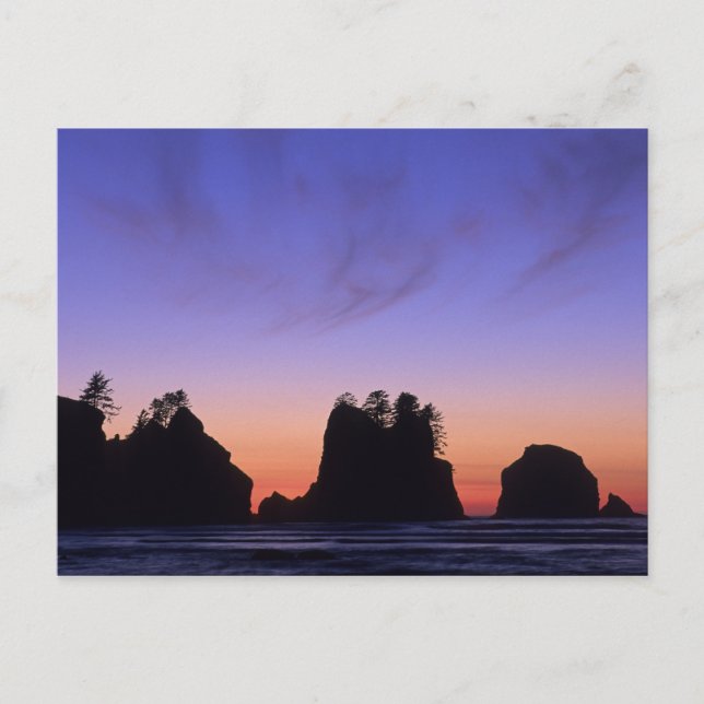 Carte Postale USA, Washington, Parc National Olympique, Shi-shi (Devant)