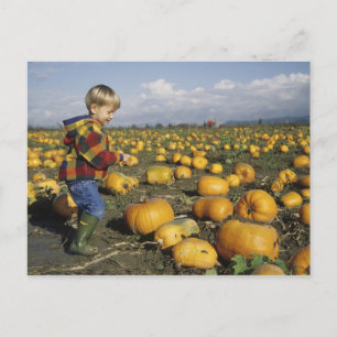 Carte Postale USA, Washington, Snohomish. Petit garçon