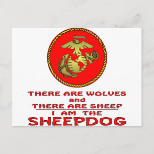 Carte Postale USMC Il Y A Des Loups Et Des Moutons