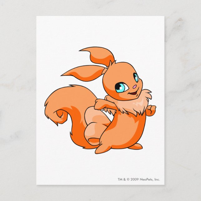 Carte Postale Usul Orange (Devant)