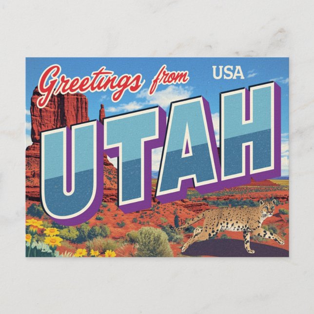 Carte Postale Utah Desert Bobcat Monument Valley (Devant)