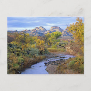Carte Postale UTAH. États-Unis Pleasant Creek en automne au leve