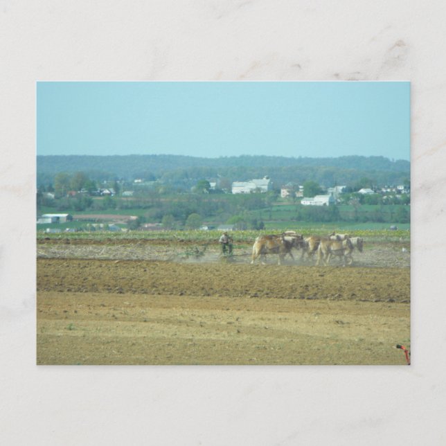 Carte Postale ~ Utilisation des champs 4 ~ (Devant)